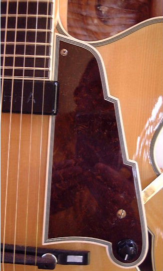 FALCON EXCEL (D'Angelico Replica) - Image 4